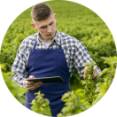 Ellipse-Ingénieur-agriculte-220